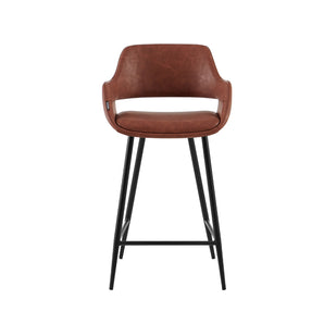 Luis Barstol - Cognac PU