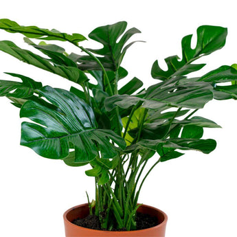 Monstera Kunstig plante - 45 cm - Hofstra & Wagner