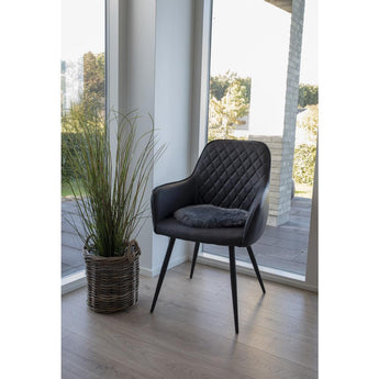 New Zealandsk Lammeskindshynde - Grå 35 cm - Hofstra & Wagner