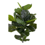 Violinfigen Kunstig plante - 100 cm - Hofstra & Wagner