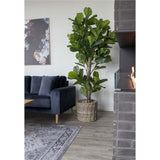 Violinfigen Kunstig plante - 190 cm - Hofstra & Wagner