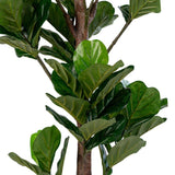 Violinfigen Kunstig plante - 190 cm - Hofstra & Wagner