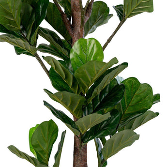 Violinfigen Kunstig plante - 190 cm - Hofstra & Wagner